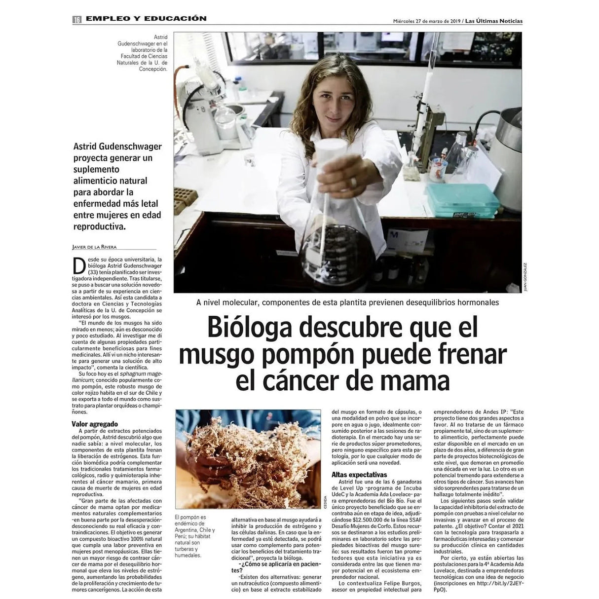 Bryomoss Musgo Pompón, 2 Frascos, 120 Cápsulas