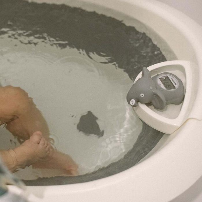 Caja x 10 Termómetro de Baño y Pieza Elefante Mininor