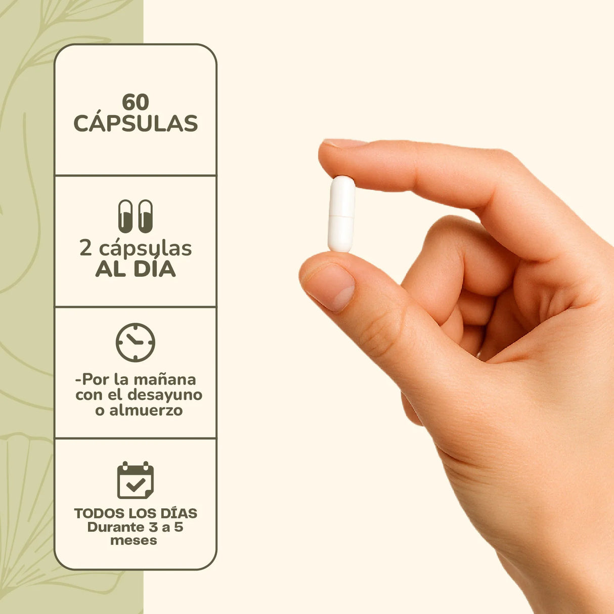 Probiótico Digestivo 25 Billones, 60 Cápsulas