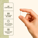 Probiótico Digestivo 25 Billones, 60 Cápsulas